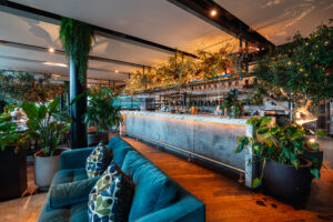 modern decoration of rooftop bar with plants